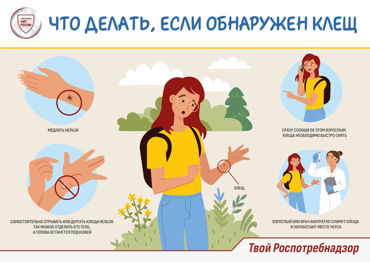 Что делать, если обнаружен клещ Что делать, если обнаружен клещ.